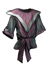 Scholar's Robe